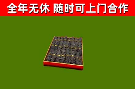 防城回收海参